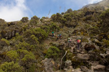 Kilimanjaro Machame rota viski üzerinde izlemek