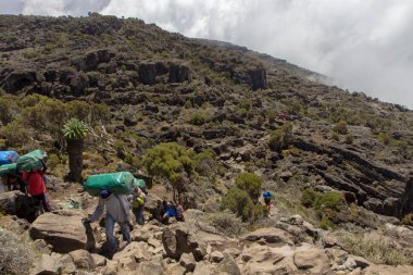 Kilimanjaro Machame rota viski üzerinde izlemek