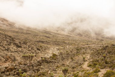 Kilimanjaro Machame rota viski üzerinde izlemek. 3 gün