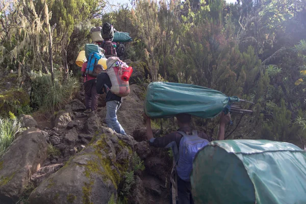 Трейлер фильма "Килиманджаро на виски" — стоковое фото