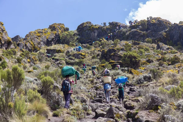Track on Kilimanjaro on the Machame Route Whiskey — Stock Photo, Image