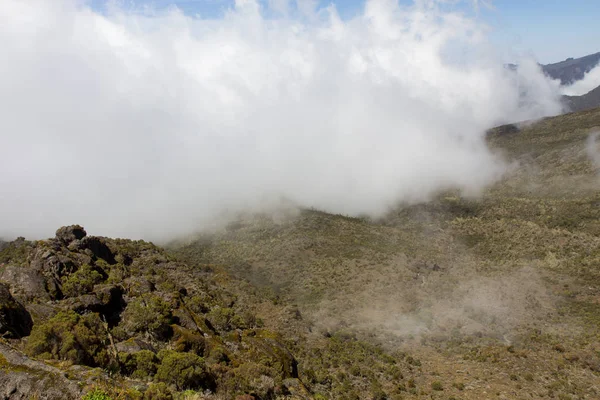 跟踪上乞力马扎罗山上 Machame 路线威士忌 — 图库照片