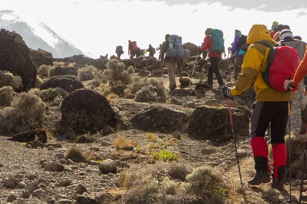 Track on Kilimanjaro on the Machame Route Whiskey. 3 day — Stock Photo, Image