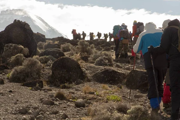 Track on Kilimanjaro on the Machame Route Whiskey. 3 day — Stock Photo, Image