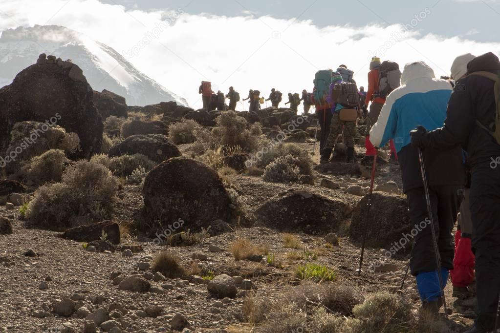 Track on Kilimanjaro on the Machame Route Whiskey. 3 day