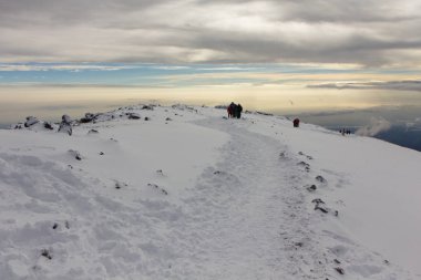 Kilimanjaro üzerinde en yüksek tepeye kadar Machame rota viski üzerinde izlemek. 5 gün