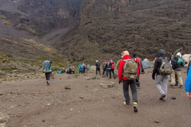 Kilimanjaro Machame rota viski üzerinde izlemek. 4 gün