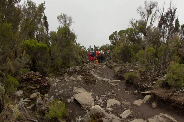 Downhill from the summit of Kilimanjaro — Stock Photo, Image