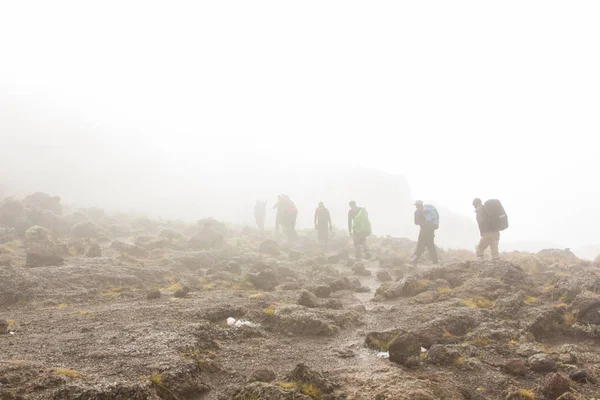 Track on Kilimanjaro on the Machame Route Whiskey. 4 day — Stock Photo, Image