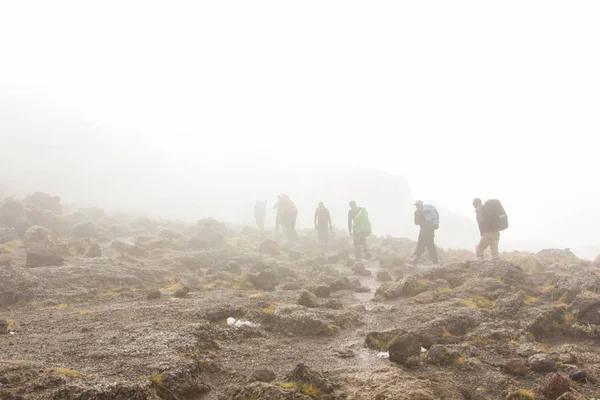 Kilimanjaro Machame rota viski üzerinde izlemek. 4 gün