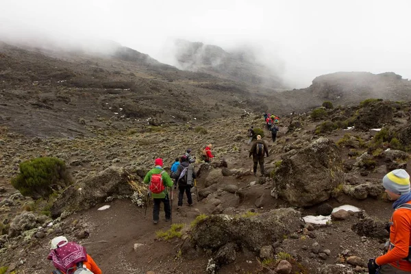 Track on Kilimanjaro on the Machame Route Whiskey. 4 day — Stock Photo, Image