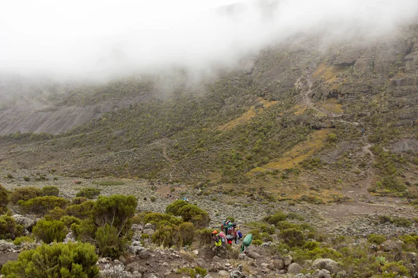 Track on Kilimanjaro on the Machame Route Whiskey. 4 day — Stock Photo, Image