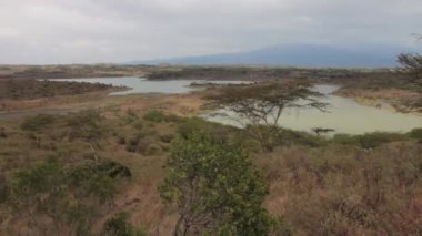 Göl içinde safari Tanzanya