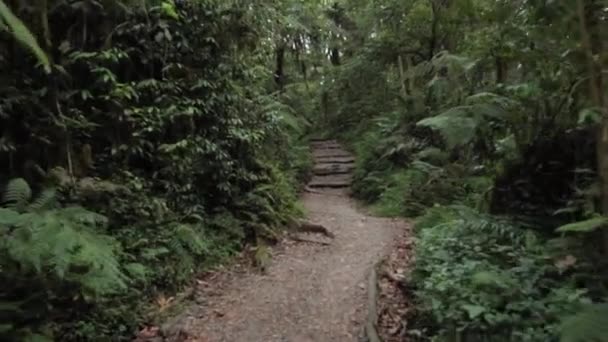 Śledzić na Kilimandżaro na Whiskey Machame Route — Wideo stockowe