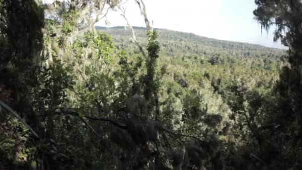 Spåra på Kilimanjaro på Machame Route whisky — Stockvideo