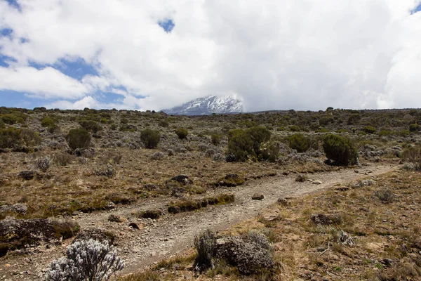 Track on Kilimanjaro on the Machame Route Whiskey — Stock Photo, Image