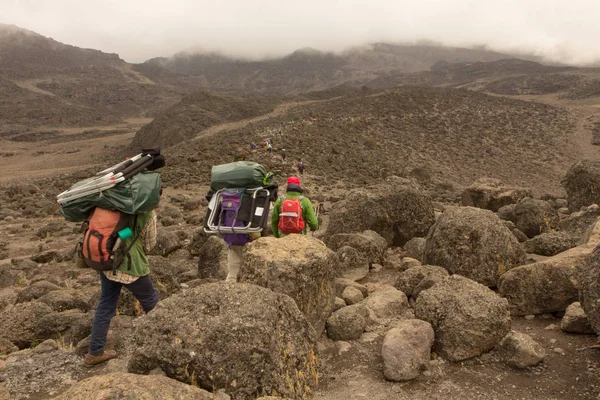 Machame 경로 위스키에 킬리만자로에 추적 합니다. 3 일 — 스톡 사진