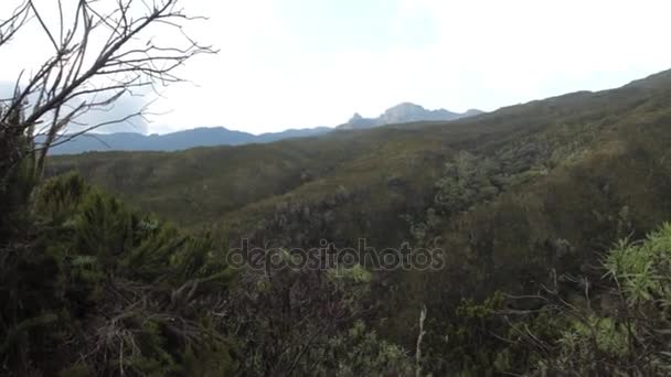 Pista en el Kilimanjaro en la ruta Machame Whiskey — Vídeo de stock