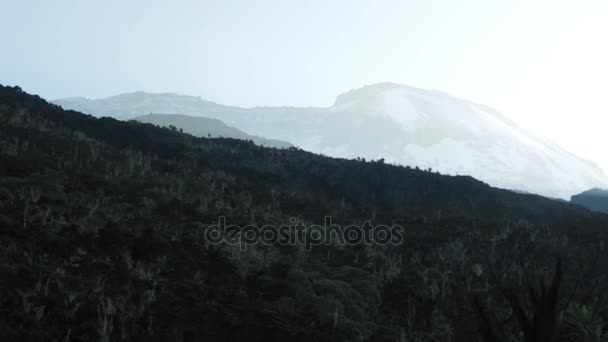 Відстеження на Кіліманджаро на Machame маршруті віскі — стокове відео