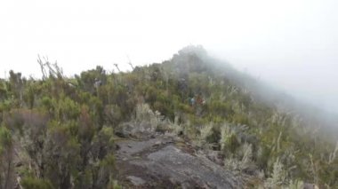 Kilimanjaro Machame rota viski üzerinde izlemek
