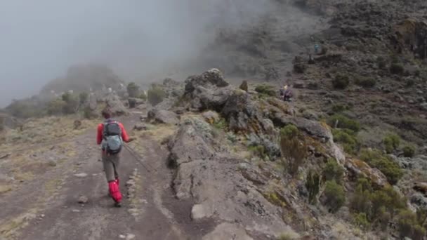 Pista en el Kilimanjaro en la ruta Machame Whiskey — Vídeo de stock
