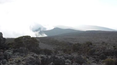 Kilimanjaro Machame rota viski üzerinde izlemek