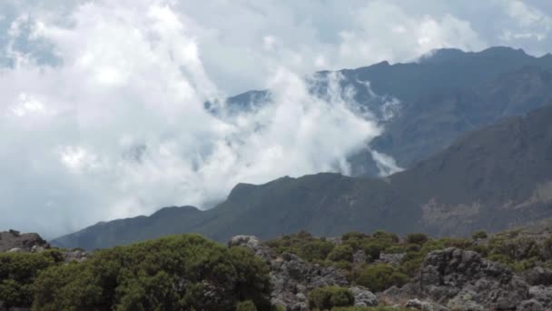 Pista en el Kilimanjaro en la ruta Machame Whiskey — Vídeo de stock