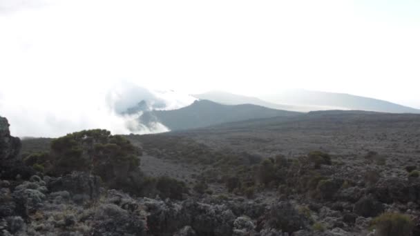 Spåra på Kilimanjaro på Machame Route whisky — Stockvideo