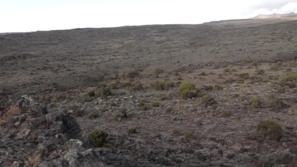 Pista en el Kilimanjaro en la ruta Machame Whiskey — Vídeos de Stock