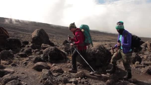 2014 02 Kilimanjaro, Tanzania: Machame Route di gunung. 3 hari — Stok Video