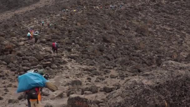 Lacak Kilimanjaro di Machame Route Whiskey. 3 hari — Stok Video