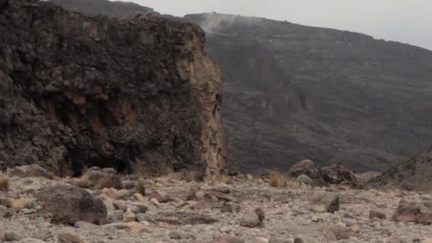 Відстеження на Кіліманджаро на віскі Machame маршрут. 3 день — стокове відео