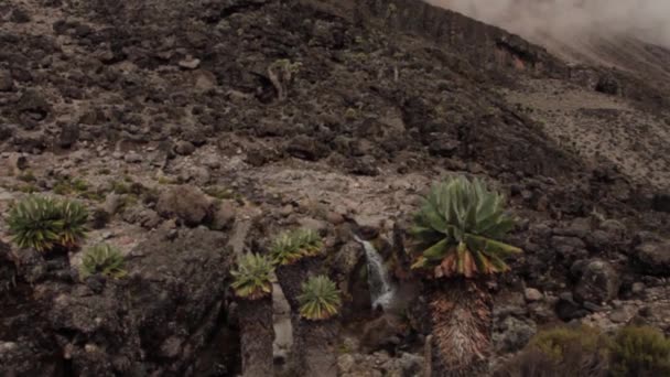 Nyomon követni a Machame útvonal Whiskey a Kilimandzsáró. 3 nap — Stock videók