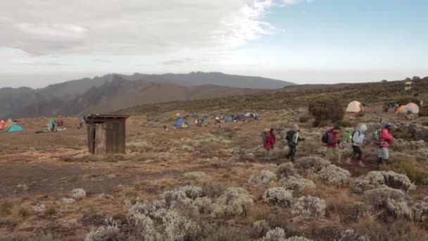 2014 02 Kilimanjaro, Tanzania: Machame parcours op een berg. 3-daagse — Stockvideo