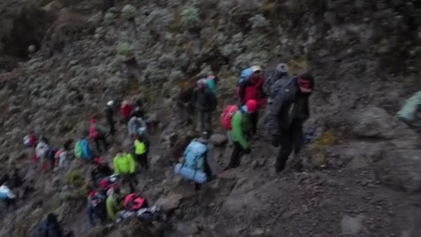 2014 02 Kilimandżaro, Tanzania: Machame Route na górze. 4 dzień — Wideo stockowe