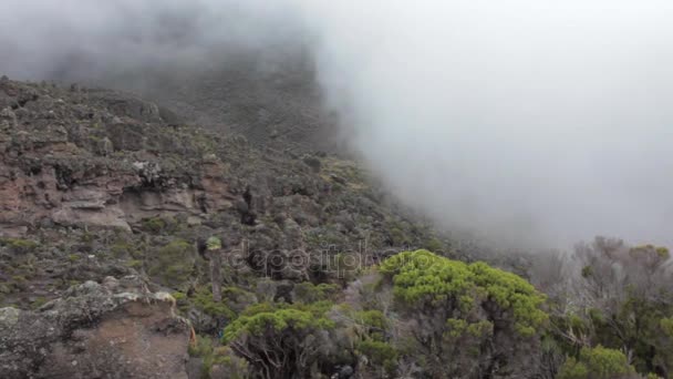 Spåra på Kilimanjaro på Machame Route whisky. 4 dag — Stockvideo