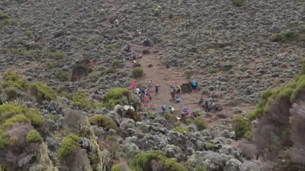 2014 02 Kilimandzsáró, Tanzánia: hegyi úton, Machame. 4 nap — Stock videók