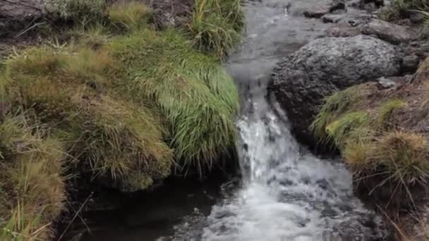 Pista en el Kilimanjaro en el Machame Route Whiskey. 4 días — Vídeos de Stock