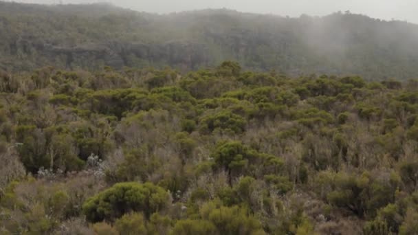 Discesa dalla cima del Kilimangiaro — Video Stock