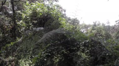 Kilimanjaro Machame rota viski üzerinde izlemek