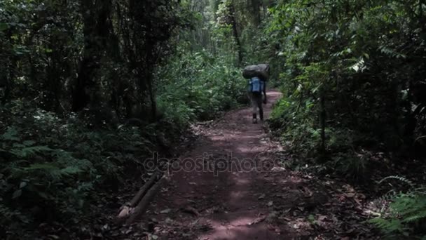 Відстеження на Кіліманджаро на Machame маршруті віскі — стокове відео