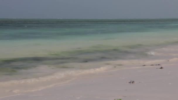 Strand in Nungwi dorp — Stockvideo