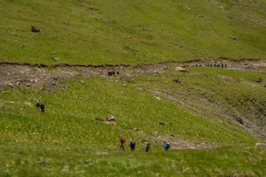 Elbrus bölgesi dağlarında yürüyüş