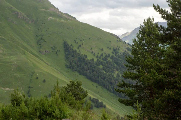 Randonnée pédestre dans les montagnes de l'Elbe — Photo