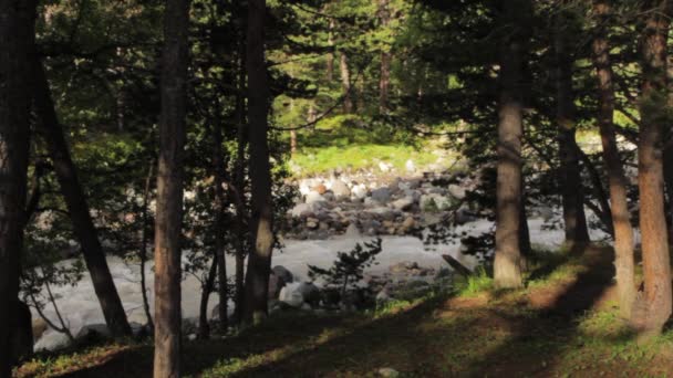 Fiume di montagna della regione di Elbrus — Video Stock