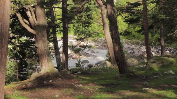 Гірські річки Ельбрус регіону — стокове відео
