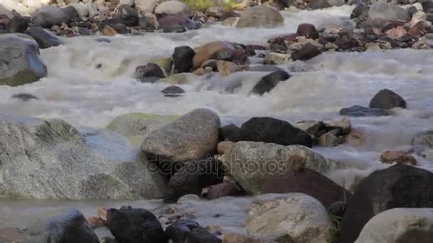 Rio de montanha da região de Elbrus — Vídeo de Stock