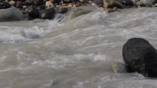 Fiume di montagna della regione di Elbrus — Video Stock