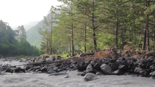 Rio de montanha da região de Elbrus — Vídeo de Stock