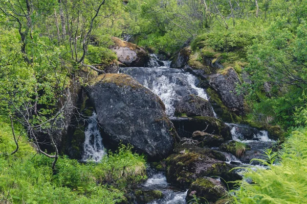 Dağ nehir akış aşağı — Stok fotoğraf